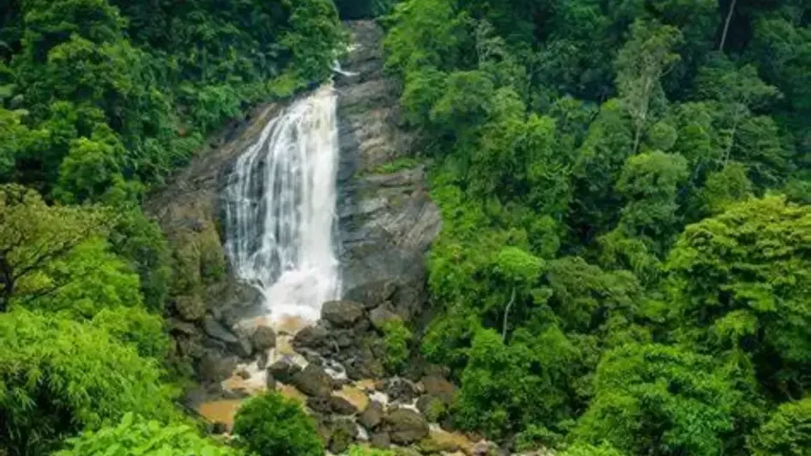 Cheeyappara Falls